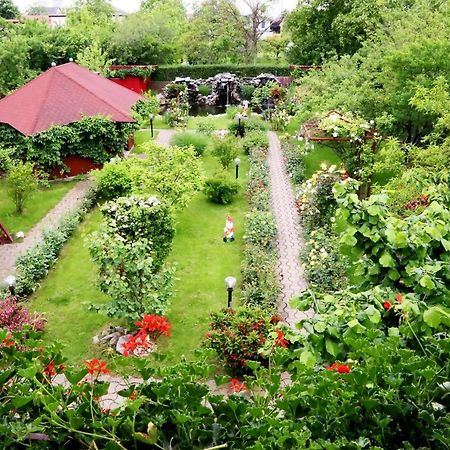Pension Delia Gardens ทิมิชัวรา ภายนอก รูปภาพ