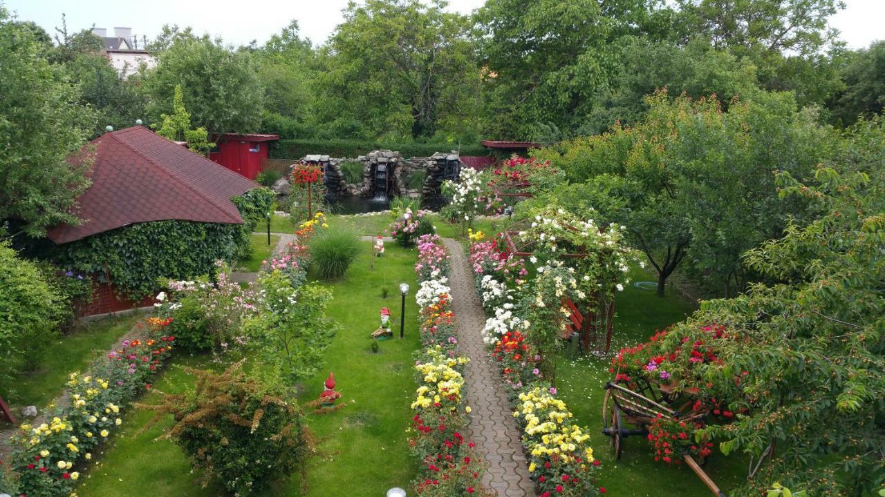 Pension Delia Gardens ทิมิชัวรา ภายนอก รูปภาพ