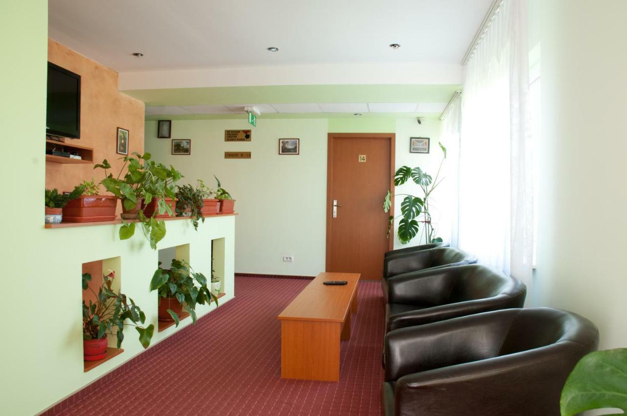 Pension Delia Gardens ทิมิชัวรา ภายนอก รูปภาพ