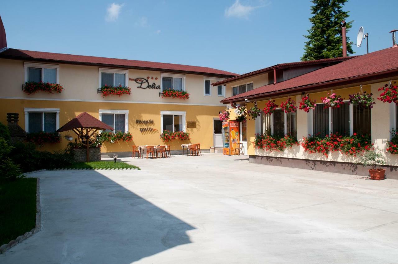 Pension Delia Gardens ทิมิชัวรา ภายนอก รูปภาพ