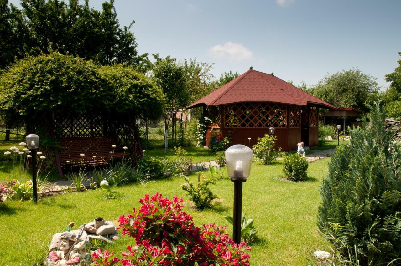 Pension Delia Gardens ทิมิชัวรา ภายนอก รูปภาพ