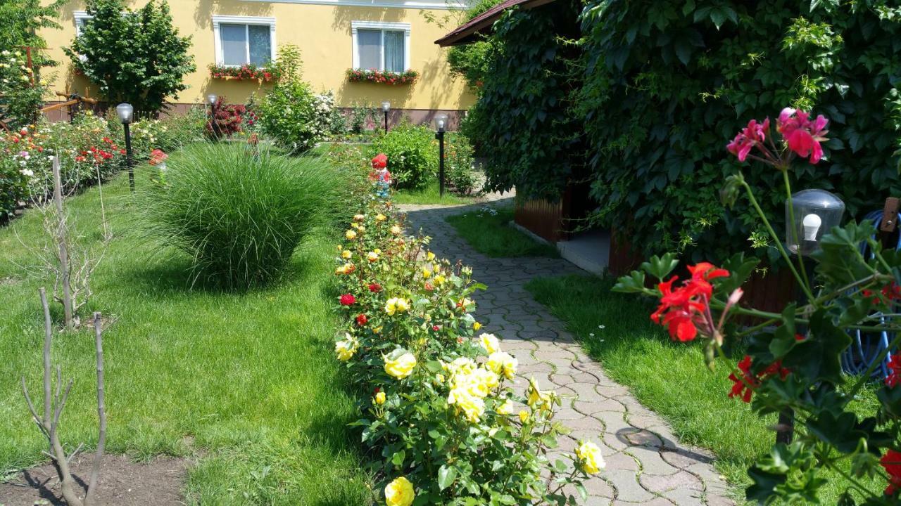 Pension Delia Gardens ทิมิชัวรา ภายนอก รูปภาพ
