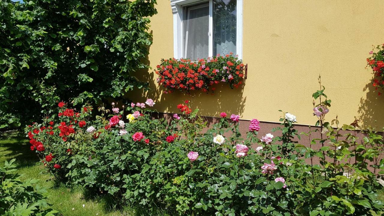 Pension Delia Gardens ทิมิชัวรา ภายนอก รูปภาพ