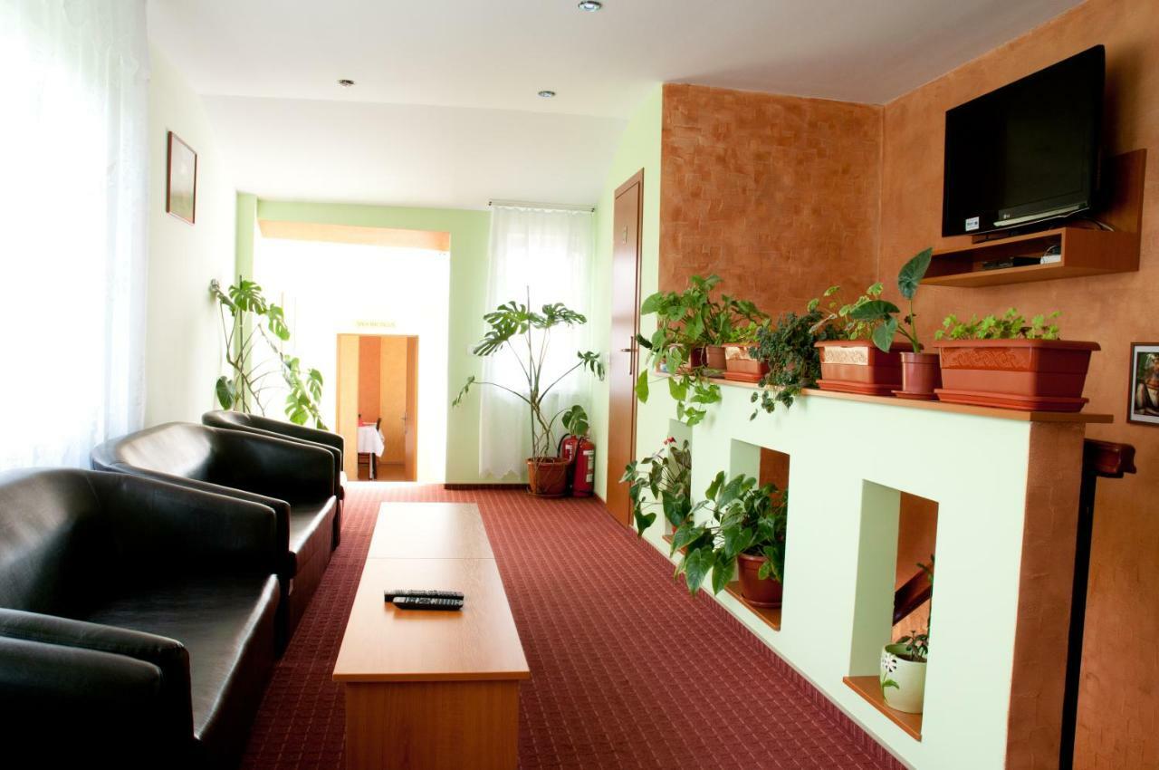 Pension Delia Gardens ทิมิชัวรา ภายนอก รูปภาพ