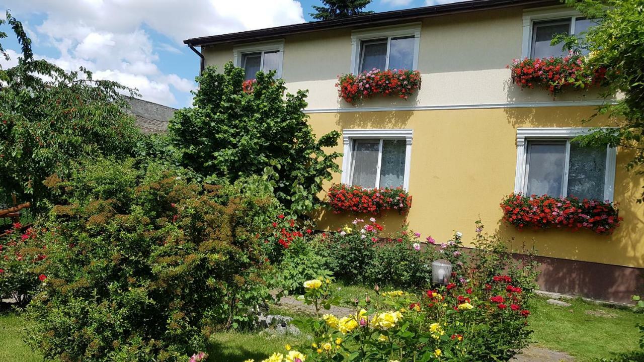 Pension Delia Gardens ทิมิชัวรา ภายนอก รูปภาพ